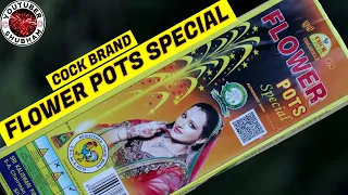 FLOWER POTS SPECIAL by Cock-Brand - Diwali Anar Testing 2021