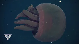Weird and Wonderful: Otherworldly giant, red jellyfish swims into our minds