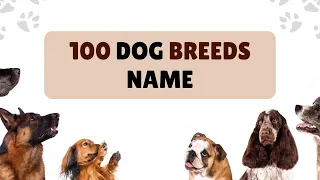 Dog Breeds Vocabulary ll 100 Dogs Breeds Names In English With Pictures ll 100 Popular Dogs