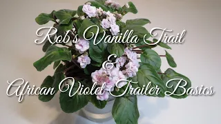 Rob's Vanilla Trail & African Violet Trailer Basics