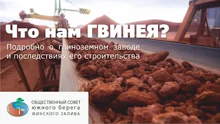 Что нам ГВИНЕЯ? Подробно о глиноземном заводе и последствиях