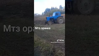 оранка мтз 80.1