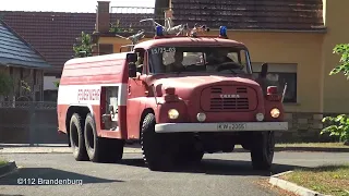 (Waldbrand/Tatras in Aktion) Einsatzfahrten zum Waldbrand in der Gemeinde Märkische Heide