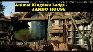 Disney - Animal Kingdom Lodge - Staying at JAMBO HOUSE dinner at Sanaa! - Large Horned Animal fight!