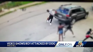 Dog attacks child, man who intervened in Price Hill