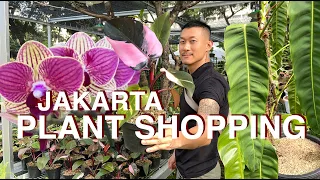 Come Plant Shopping With Me In Indonesia | Taman Lapangan Banteng
