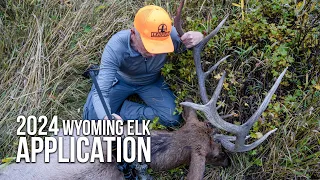 How to Get an Elk Tag in Wyoming This Year!