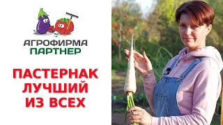 ЛУЧШИЙ ИЗ ВСЕХ ПАСТЕРНАК