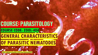 General Characteristics of Parasitic Nematodes