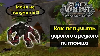 Как получить редкого питомца [Бессмертная спора] за 20 минут? | World of Warcraft: DragonFlight 10.0