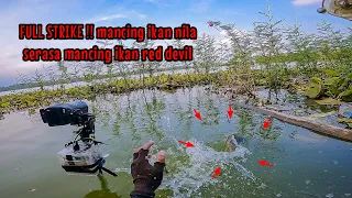 FULL STRIKE‼️ MANCING IKAN NILA SERASA MANCING IKAN RED DEVIL || mancing nila di waduk karangkates