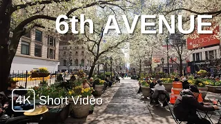 NEW YORK CITY Walking Tour (4K) 6th AVENUE (Short Video)