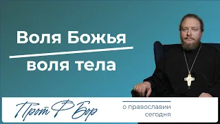 Паралич воли и воля Божья. Священник Федор Бородин