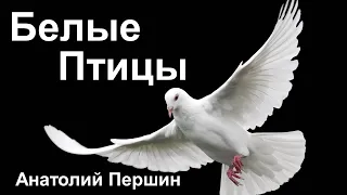 Анатолий Першин "Белые Птицы" Песни для души