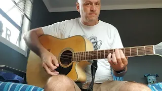 System of a down - Spiders acoustic cover