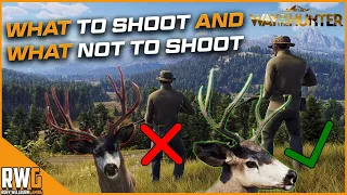 Way Of The Hunter: What to shoot and what not to shoot to get good genetics on your animals