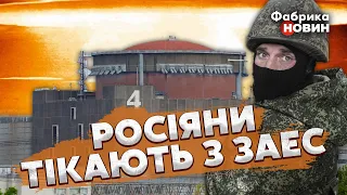 ⚡Срочно! НА ЗАПОРОЖСКОЙ АЭС ЭВАКУАЦИЯ. Будет подрыв? Свитан назвал ТРЕВОЖНУЮ ДАТУ