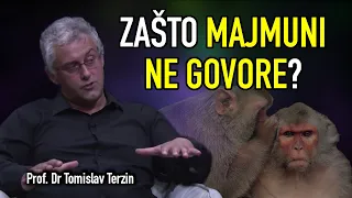 Tomislav Terzin - ZAŠTO MAJMUNI NE GOVORE?