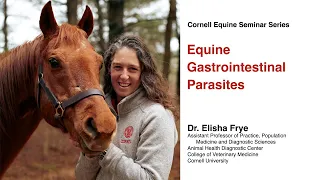 Equine Gastrointestinal Parasites (Cornell Equine Seminar, March 2024)