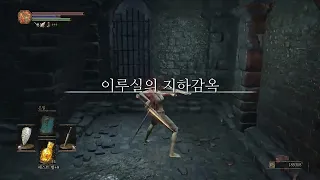 (37) SL1 1레벨지하감옥3