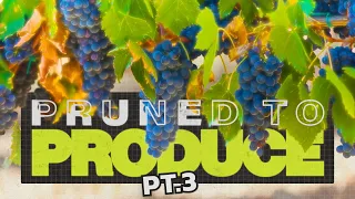 Pruned To Produce - Pt.3 | Dean Forster | Livestream