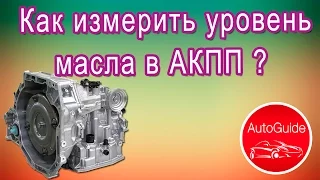 Как правильно измерить уровень масла в АКПП? | AutoGuide