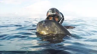 4K Indonesia spearfishing travel - Life as a fisherman