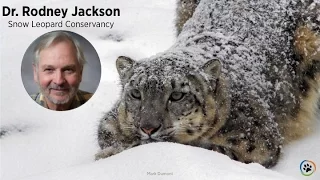 Snow Leopard Conservancy · Dr.  Rodney Jackson · Expo 2014