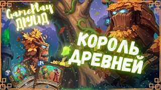 👑ВЗЯЛ ЛЕГУ НА САМОЙ ДЕШЁВОЙ ДЕКЕ МЕТЫ! Бюджетные колоды Hearthstone 2024! #hs #хс #hearthston