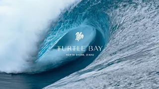 TURTLE BAY | SUPER NATURAL