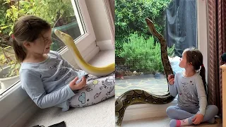 Little Girl Loves Playing With Giant Pet Pythons || WooGlobe