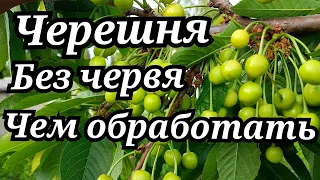 НЕ ПРОПУСТИТЕ ЭТУ ОБРАБОТКУ!!!!