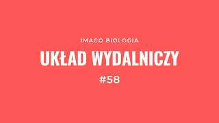 Układ wydalniczy