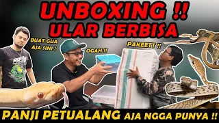 UNBOXING ULAR YG PANJI PETULANG AJA GAK PUNYA !! KECIL TP BIKIN GATEL