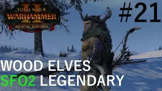 Skavenblight! - Legendary SFO2 Wood Elves Campaign #21 - TW:W2 Mortal Empires