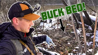 How to Scout a New Deer Hunting Property Like a Pro