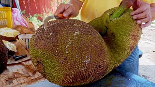 World's Largest Fruit！Fresh Jackfruit Harvesting and Cutting Skills / 世界最大水果！巨大波羅蜜採收和切割技巧