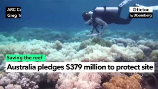 Great Barrier Reef Gets $379 Million Boost