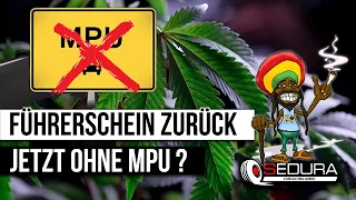 Cannabis Entkriminalisierung | Führerschein zurück OHNE MPU? | Grenzwerte wie bei Alkohol? | 2024