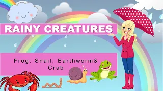 Learn Rainy Creatures | General Knowledge | Jr.Kg