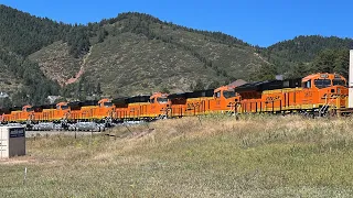 Brand New BNSF ES44ACH & ET44ACH GEVOs Compilation!