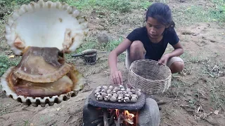 Yummy Cook Oyster on The Rock For Food - Cooking Oyster Recipe For Eating Delicious #53