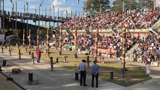 325mm Tree felling World Championship Sydney Royal Easter Show 2019