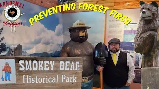 Bear Necessities - (Smokey Bear Historical Park)