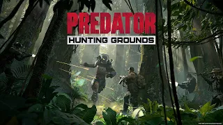 обзор на игру  PREDATOR hunting grounds