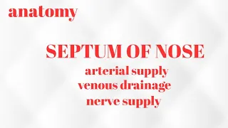 NASAL SEPTUM OF NOSE IN ENGLISH/ARTERIAL SUPPLY/VENOUS DRAINAGE/NERVE SUPPLY/LYMPHATICS