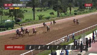 Live Hippodrome « CASABLANCA » | Courses du « 08/04/2024 »