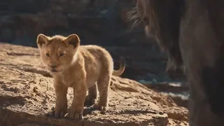 simba.exe has stopped working