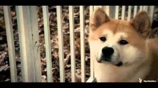 Soundtrack to the movie Hachiko - 20. Hachi's Last Trip To The Station