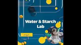 Water and Starch Lab together with kids